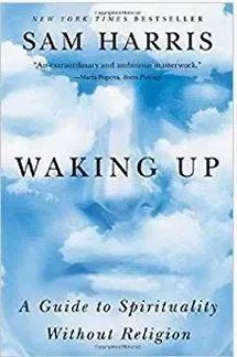 Cover of Waking Up