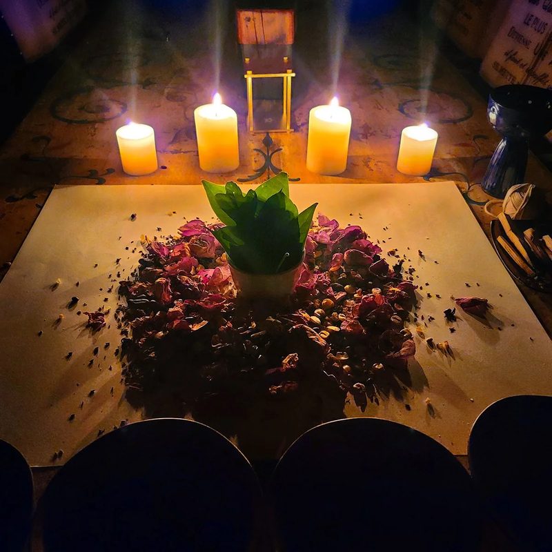 Four lit candles, a plant, and rose petals on a table